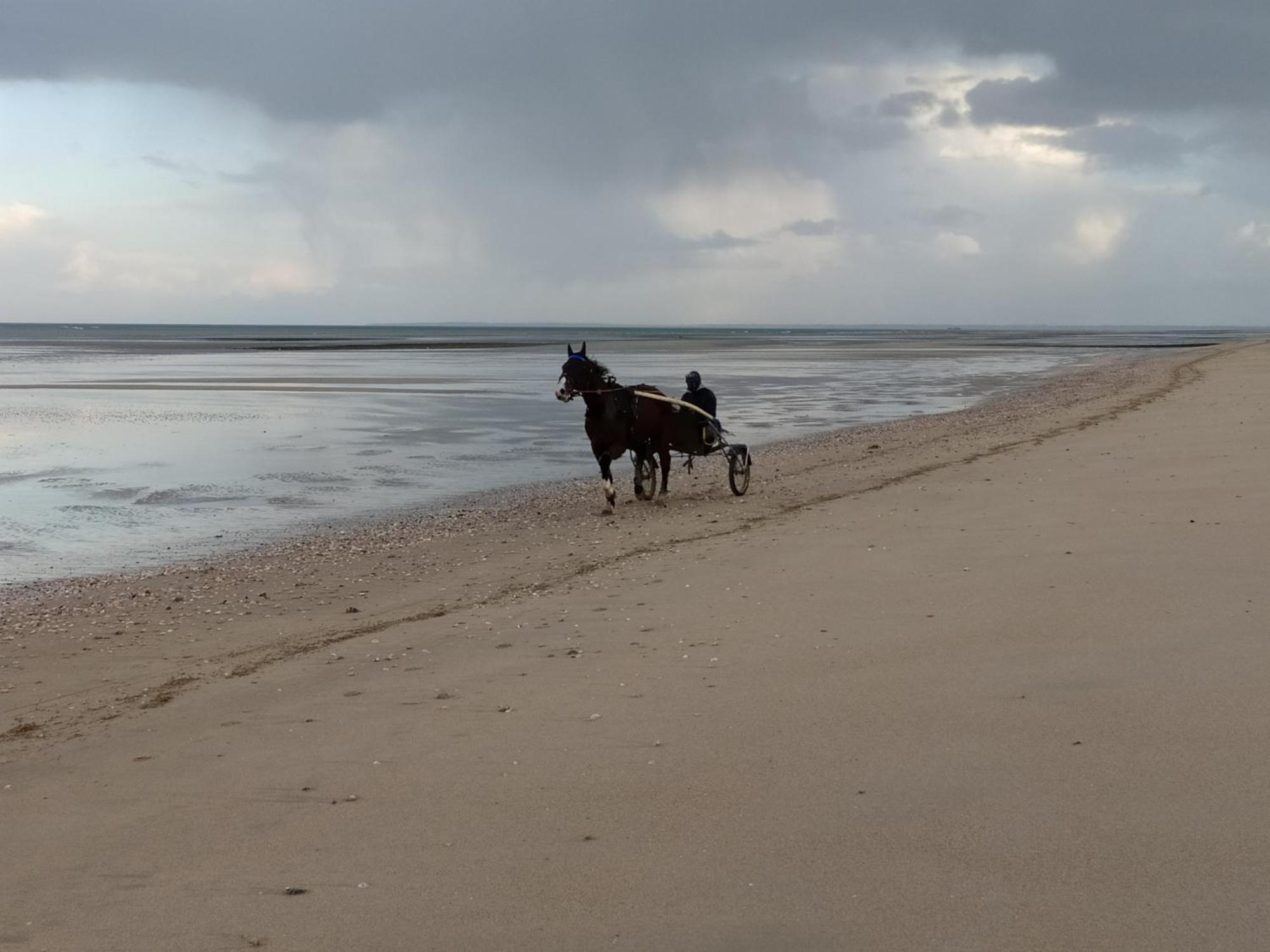 Gites En Normandie En Front De Mer A Asnelles , 3Km D'Arromanches, 10Km De Bayeux Екстериор снимка